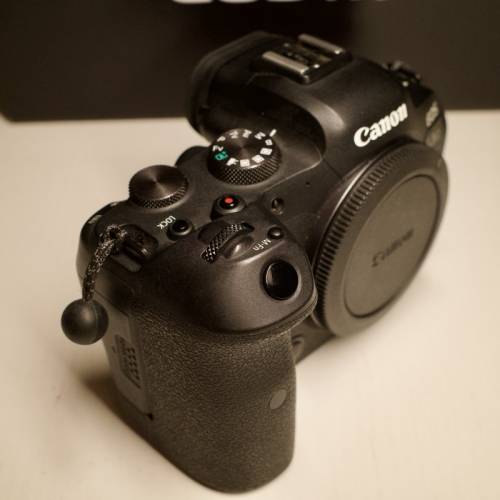 EOS R6 body