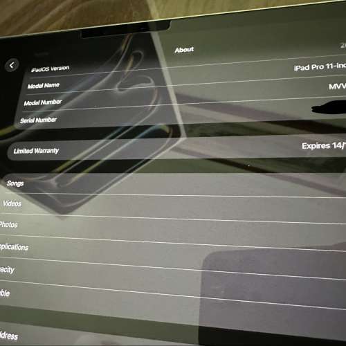 iPad pro M4 256GB 有保極少用