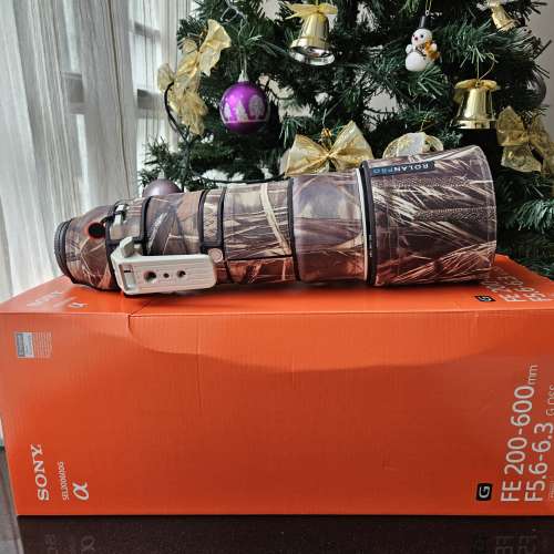 Sony 200-600mm F5.6-6.3
