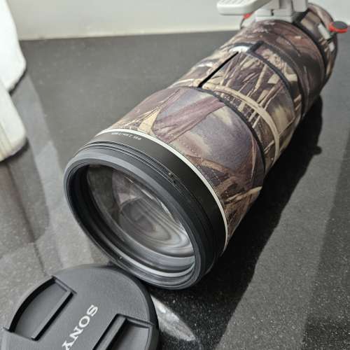 Sony 200-600mm F5.6-6.3