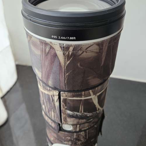 Sony 200-600mm F5.6-6.3