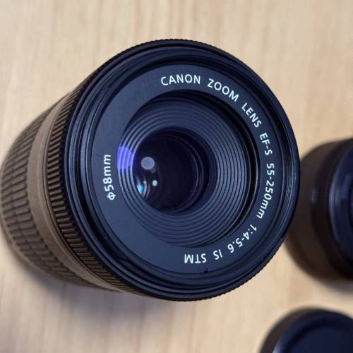 Canon 250D 18-55mm STM/50mm F1.8 STM/55-250mm STM/Sigma 8-16mm