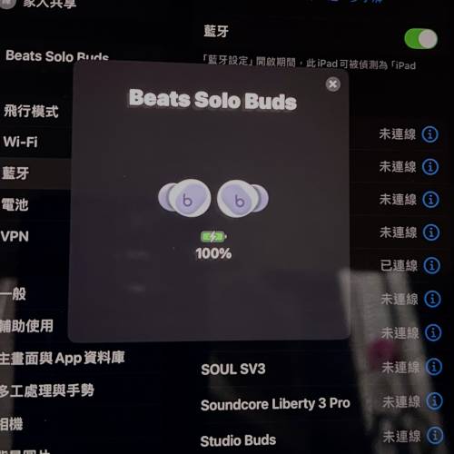 Beats Solo Buds 藍芽耳機