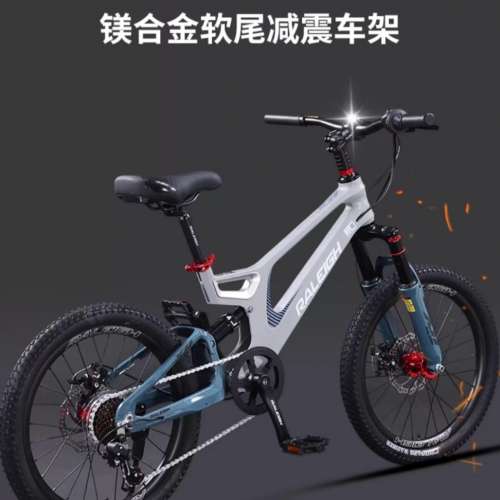 英國 Raleigh 鎂合金 22吋 高級兒童單車 kid bike MTB (bicycle 自行車 腳踏車）