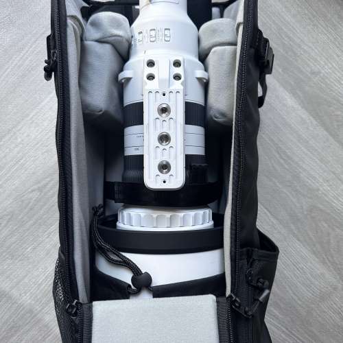 Sigma 300-600mm f/4 DG OS Sports for Sony E mount