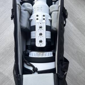 Sigma 300-600mm f/4 DG OS Sports for Sony E mount