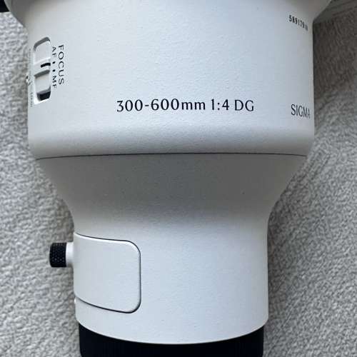Sigma 300-600mm f/4 DG OS Sports for Sony E mount