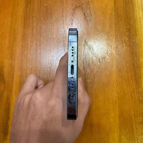 iPhone 13 Pro Max 256G 功能正常