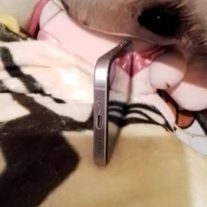 iphone17粉紫色256gb