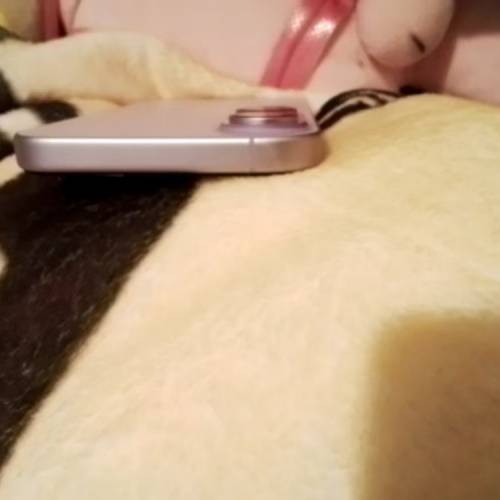 iphone17粉紫色256gb