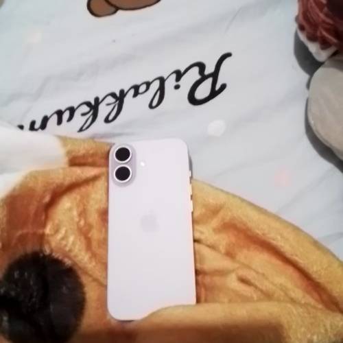 iphone17粉紫色256gb