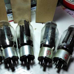 5Z3曙光整流胆5支