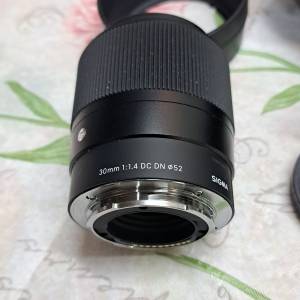 sigma 30mm 1.4 sony E