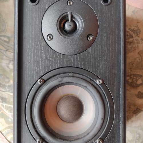 九成新 Rogers + GP 喇叭