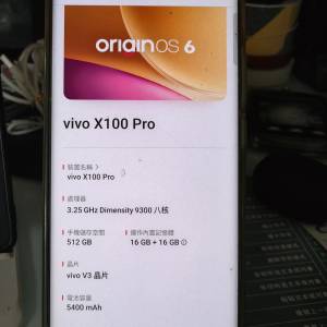 Vivo x100pro 16+512g 港版
