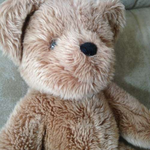 👶 SHASH's Teddy Bear USED 玩具 👶