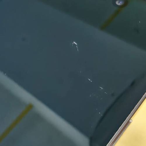 港版16pro 256gb 金色 電池91%外觀新淨 屏幕有花看圖五 價錢反應狀況