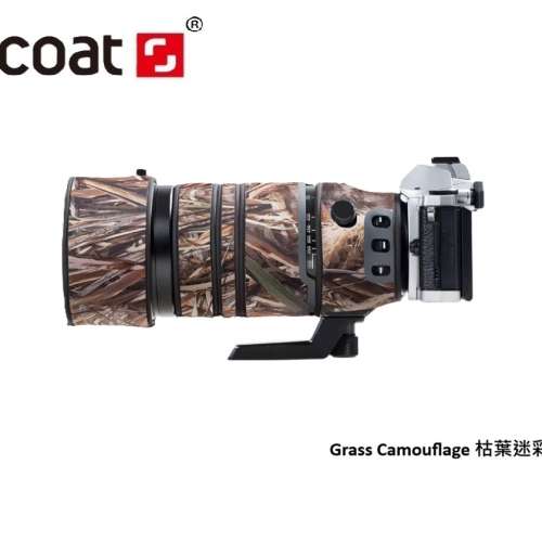 Leica DG Vario-Elmar 100-400mm f/4-6.3 Asph. Power O.I.S. (M43 mount) 鏡頭防水...