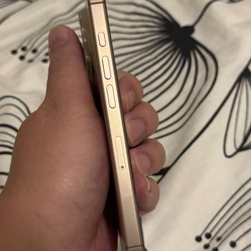 iPhone 16 Pro 256GB 金色