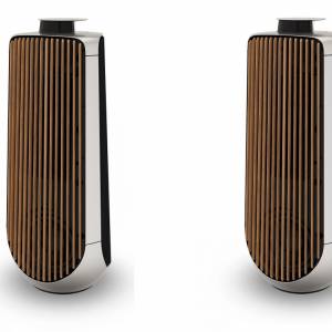 B&O (Bang & Olufsen) BeoLab 50