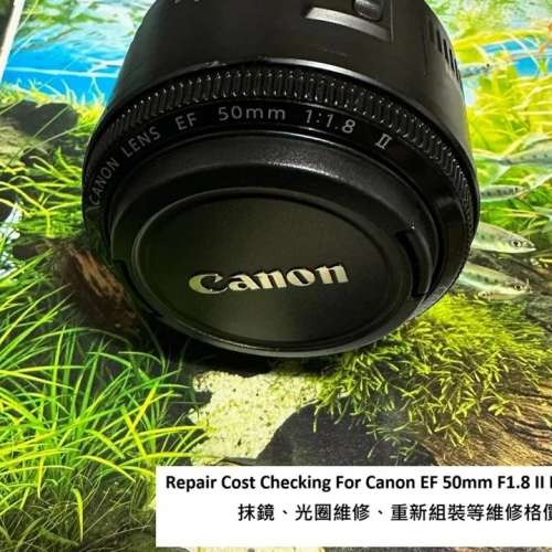 Repair Cost Checking For Canon EF 50mm F1.8 II Lens Cleaning, Aperture Repair