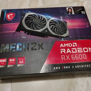 MSI Radeon RX 6600 Mech 2X