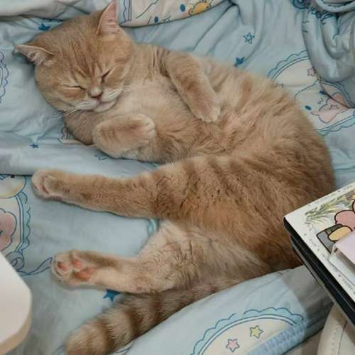 Vivo X200Pro國行全套白色99新一口價3500只限今日