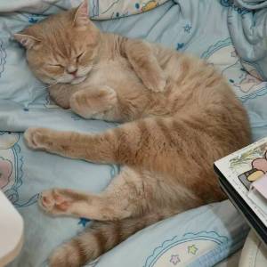 Vivo X200Pro國行全套白色99新一口價3500只限今日