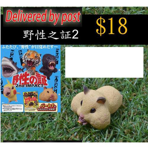 扭蛋盒蛋扭蛋盒蛋