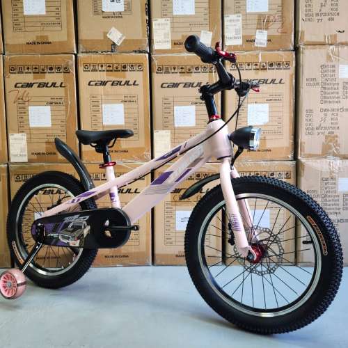 JTBEIER 18" - 18吋 碟剎 兒童單車 (綠)