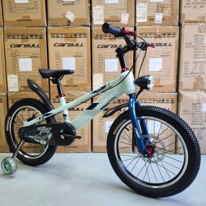 JTBEIER 18" - 18吋 碟剎 兒童單車 (藍)