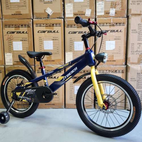 JTBEIER 18" - 18吋 碟剎 兒童單車 (粉)