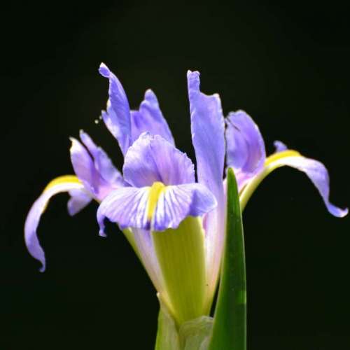 騰龍逾90%新TAMRON 175D AF鏡直推式200-400mm鏡全程5.6光圈極快對焦鏡(NIKON Ai用)...