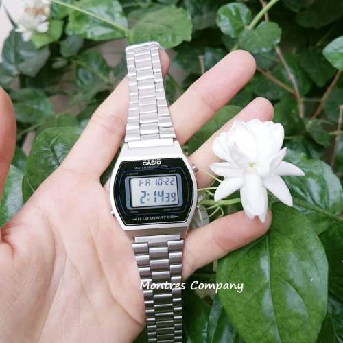 Montres Company 香港註冊公司(32年老店) 卡西歐 CASIO 不鏽鋼錶帶 黑銀色 細錶徑 ...