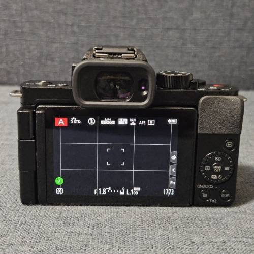 Panasonic Lumix G100 & Olympus 45 f1.8