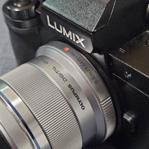 Panasonic Lumix G100 & Olympus 45 f1.8