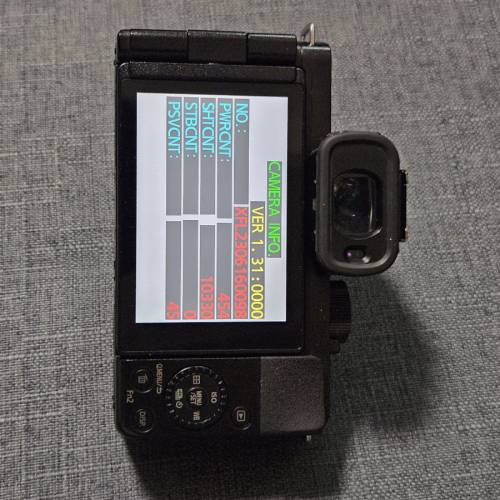 Panasonic Lumix G100 & Olympus 45 f1.8