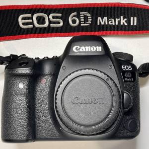 Canon 6D Mark II + F 2.8 Lens