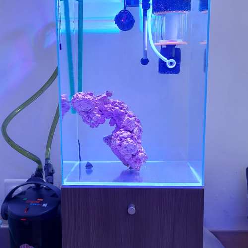 35x35x50cm 高身超白水晶缸