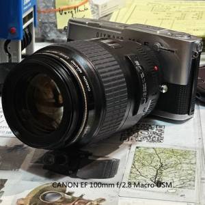 Repair Cost Checking For CANON EF 100mm f/2.8 Macro USM Lens Cleaning