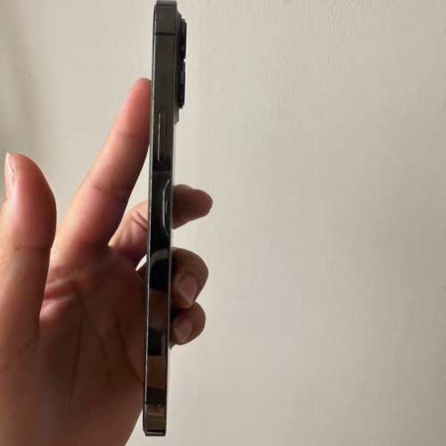 iPhone 13 pro max 512 電池效能86 ％，送Magsafe Case及玻璃貼