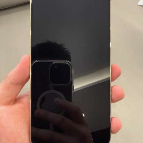 iPhone 13 pro max 512 電池86 ％，送Magsafe Case及玻璃貼