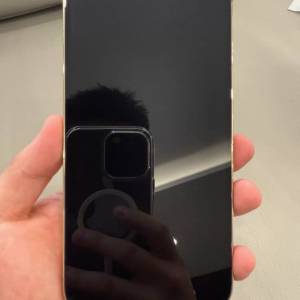 iPhone 13 pro max 512 電池86 ％，送Magsafe Case及玻璃貼