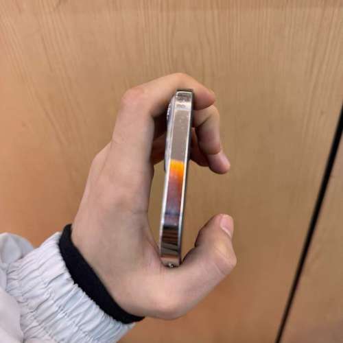 iPhone 13 pro max 512 電池86 ％，送Magsafe Case及玻璃貼
