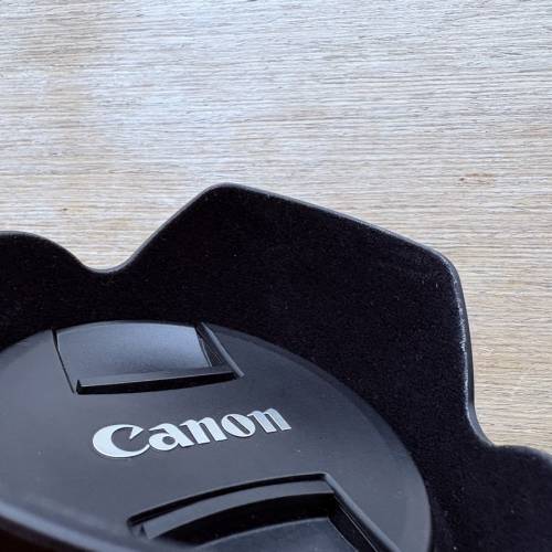 Canon EF 24-105mm f4 is usm L