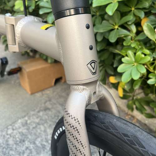 (電變12速 40T 飛輪 消光鈦色 ) 2025最新款JAVA NEO 電變12速 紅色碟剎349鋁合金折...