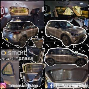 SMART #1 #3 #5 全車防曬窗網