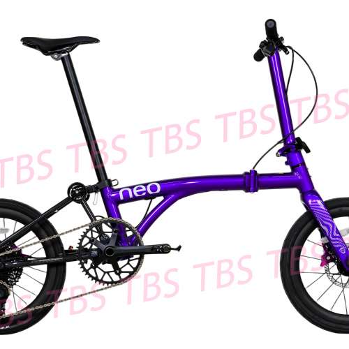 紫色預訂版最新資料 (預訂版電變 12速 40T飛輪) 2025最新款JAVA NEO 電變12速 紫色...