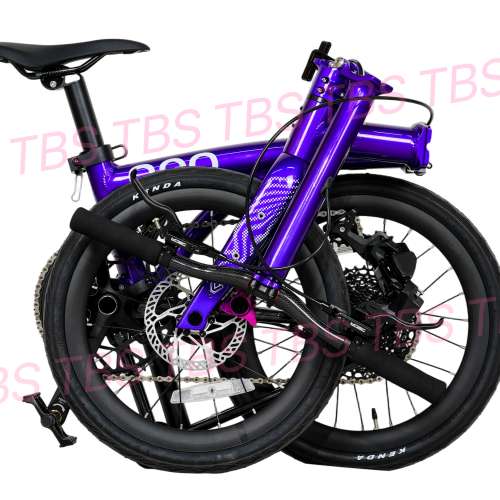 紫色預訂版最新資料 (預訂版電變 12速 40T飛輪) 2025最新款JAVA NEO 電變12速 紫色...