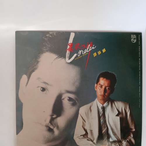 古舊 LP 黑膠唱片 梅艷芳 譚詠麟 鄧麗君 Beatles 每隻800元， 兩隻以上價可議。no....